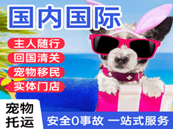 晋江航空货运国际宠物托运 【国